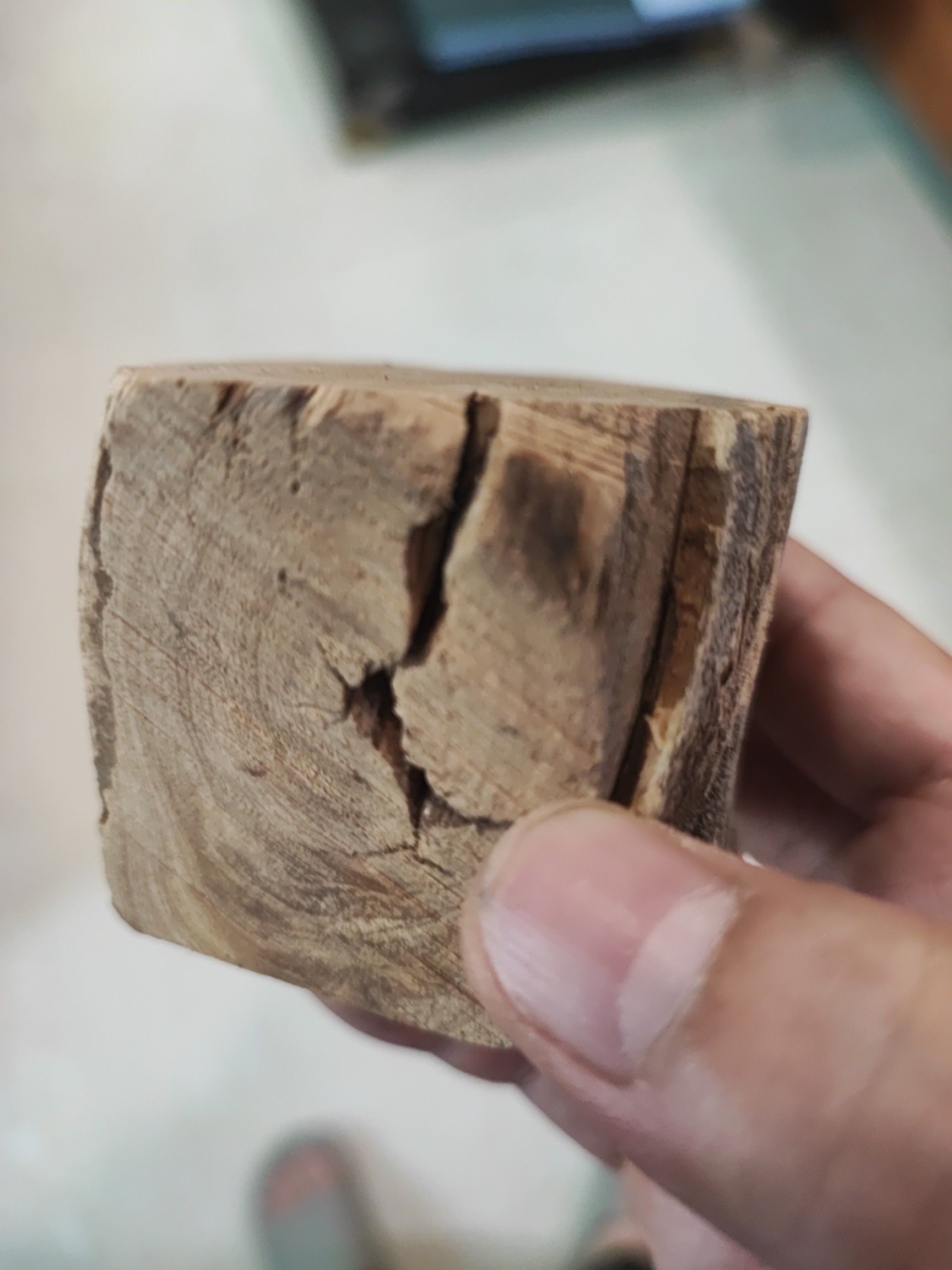 白檀の原木　345g A carved 'zitan' 'bamboo' brushpot, Qing dynasty, 18th